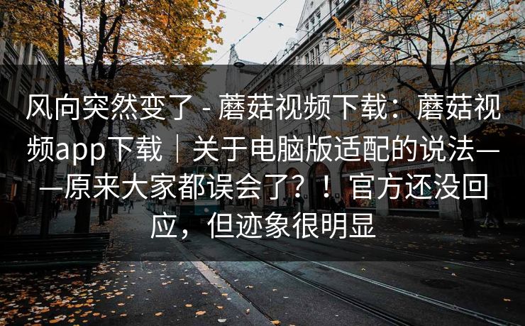 风向突然变了 - 蘑菇视频下载：蘑菇视频app下载｜关于电脑版适配的说法——原来大家都误会了？！官方还没回应，但迹象很明显