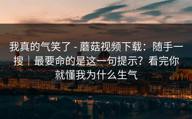 我真的气笑了 - 蘑菇视频下载：随手一搜｜最要命的是这一句提示？看完你就懂我为什么生气