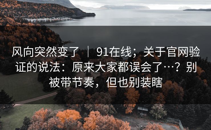 风向突然变了 ｜ 91在线；关于官网验证的说法：原来大家都误会了…？别被带节奏，但也别装瞎